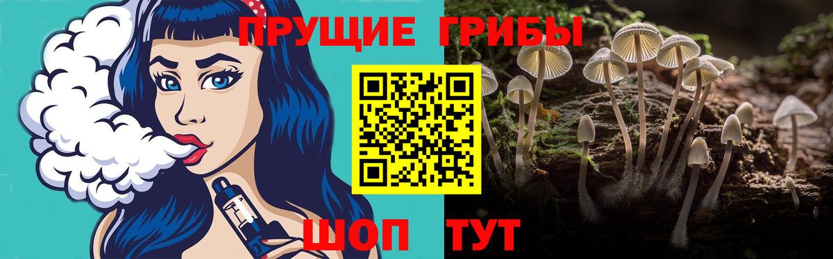 Псилоцибиновые грибы мухоморы Великий Устюг